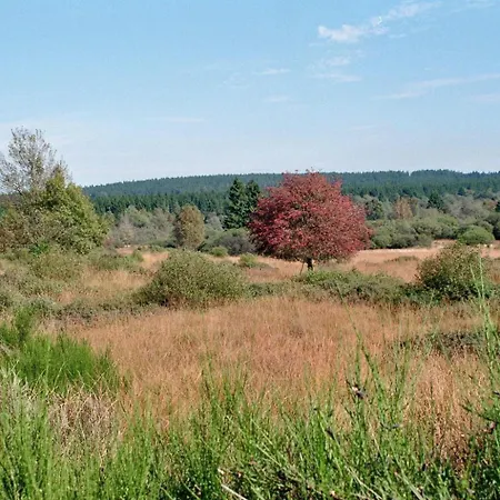 Rurtalgarten * سيمراث