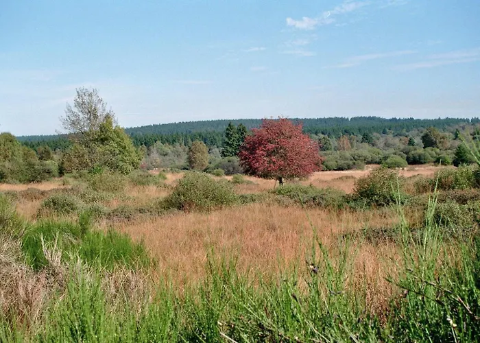 Rurtalgarten * Simmerath